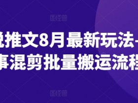 小说推文8月最新玩法—故事混剪批量搬运流程-天天学吧