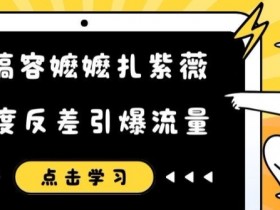 恶搞容嬷嬷扎紫薇短视频，极度反差引爆流量-天天学吧