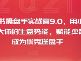 小红书操盘手实战营9.0，用小红书放大你的生意势能，赋能少数人成为优秀操盘手-天天学吧