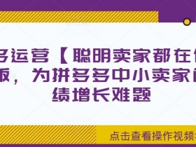 拼多多运营【聪明卖家都在做】无水印版，为拼多多中小卖家解决业绩增长难题-天天学吧