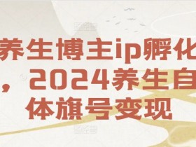 养生博主ip孵化课，2024养生自媒体旗号变现-天天学吧