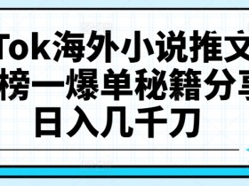 TikTok海外小说推文项目，榜一爆单秘籍分享，日入几千刀-天天学吧