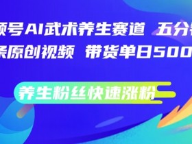 视频号AI武术养生赛道，五分钟一条原创视频，带货单日几张，养生粉丝快速涨粉【揭秘】-天天学吧