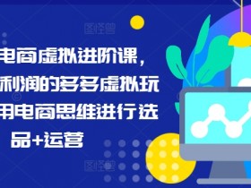 拼多多电商虚拟进阶课，学习高利润的多多虚拟玩法，利用电商思维进行选品+运营-天天学吧