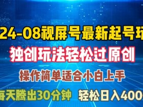 08月视频号最新起号玩法，独特方法过原创日入三位数轻轻松松【揭秘】-天天学吧