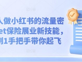 保险人做小红书的流量密码，Get保险展业新技能，从0到1手把手带你起飞-天天学吧