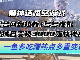 黑神话悟空游戏配合网盘拉新+多多虚拟+私域日变现3k+赚快钱方法，一鱼多吃蹭热点多重变现【揭秘】-天天学吧