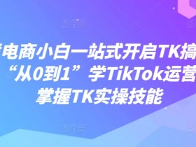 跨境电商小白一站式开启TK搞钱，教你“从0到1”学TikTok运营轻松掌握TK实操技能-天天学吧