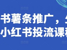 小红书薯条推广，少有的小红书投流课程-天天学吧