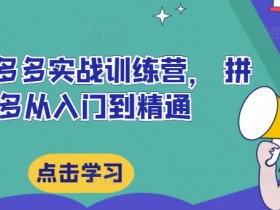 最新拼多多实战训练营， 拼多多从入门到精通-天天学吧