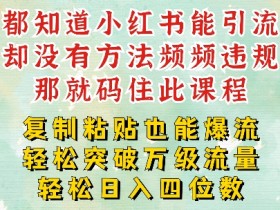 小红书靠复制粘贴一周突破万级流量池干货，以减肥为例，每天稳定引流变现四位数【揭秘】-天天学吧