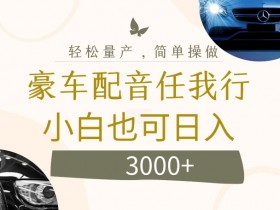 不为人知的暴力小项目，豪车配音，日入几张【揭秘】-天天学吧