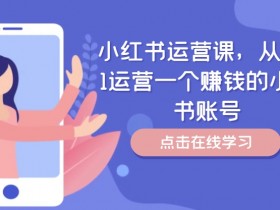 小红书运营课，从0到1运营一个赚钱的小红书账号-天天学吧