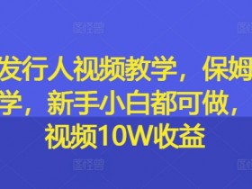 游戏发行人视频教学，保姆级实操教学，新手小白都可做，单条视频10W收益-天天学吧