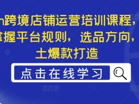 Ozon跨境店铺运营培训课程，快速掌握平台规则，选品方向，本土爆款打造-天天学吧