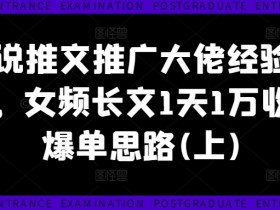 小说推文推广大佬经验分享，女频长文1天1万收益爆单思路(上)-天天学吧