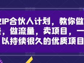 创业IP合伙人计划，教你做知识付费，做流量，卖项目，一个可以持续很久的优质项目-天天学吧