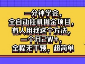 一分钟学会，全自动挂机掘金项目，有人用我这个方法，一个月2W+，全程无干预，超简单【揭秘】-天天学吧