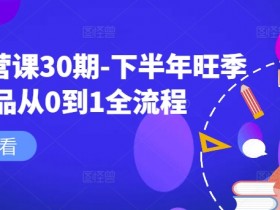 淘系运营课30期-下半年旺季新品从0到1全流程-天天学吧