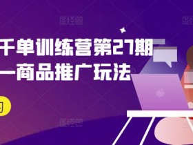 拼多多千单训练营第27期微付费—商品推广玩法-天天学吧