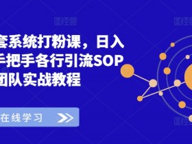 全网首套系统打粉课，日入3k+，手把手各行引流SOP团队实战教程-天天学吧