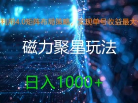 利用4.0矩阵布局策略，实现单号收益最大化，磁力聚星新玩法，日入1k+【揭秘】-天天学吧