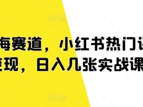 蓝海赛道，小红书热门评论变现，日入几张实战课程-天天学吧