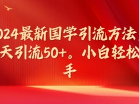 2024最新国学引流方法，每天引流50+，小白轻松上手【揭秘】-天天学吧