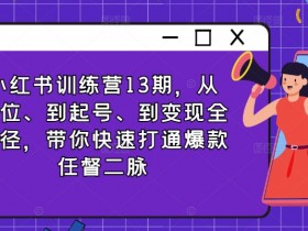 小红书训练营13期，从定位、到起号、到变现全路径，带你快速打通爆款任督二脉-天天学吧