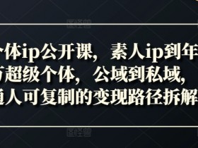 新个体ip公开课，素人ip到年入百万超级个体，公域到私域，普通人可复制的变现路径拆解-天天学吧