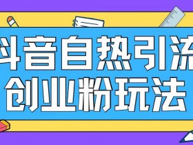 抖音引流创业粉自热玩法日引200+精准粉-天天学吧