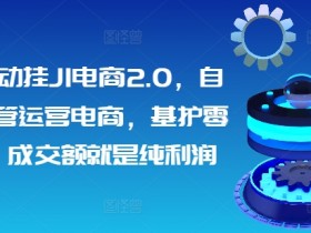 矩阵自动挂JI电商2.0，自动化托管运营电商，基护零成本，成交额就是纯利润-天天学吧