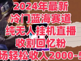 2024年最新冷门蓝海赛道，纯无人挂JI直播，收割回忆粉，单场收入轻松2000-5w+-天天学吧