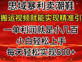 私域卖潮鞋暴利玩法，小白轻松上手，日赚几张，轻轻松松，仅靠搬运视频就能精准引流-天天学吧