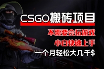 CSGO 装备搬砖项目，操作简单，不需要会玩游戏，小白也能快速上手，一…-天天学吧