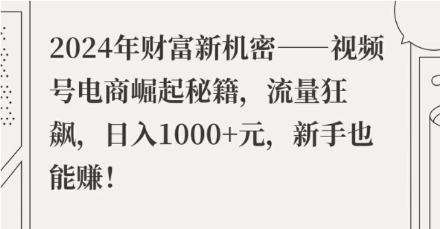 2024年财富新机密——视频号电商崛起秘籍，流量狂飙，日入1k元，新手也能赚-天天学吧