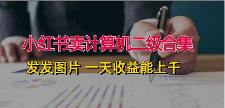 小红书卖计算机二级合集，发发图片 一天收益能上千-天天学吧