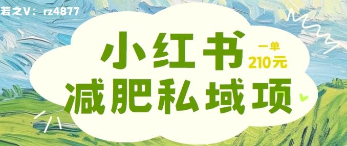 图片[1]-小红书减肥粉，私域变现项目，一单就达210元，小白也能轻松上手【揭秘】-天天学吧