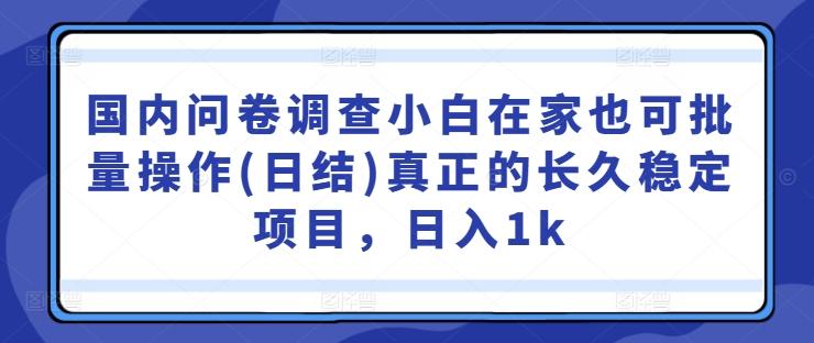 图片[1]-国内问卷调查小白在家也可批量操作(日结)真正的长久稳定项目，日入1k【揭秘】-天天学吧