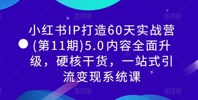 图片[1]-小红书IP打造60天实战营(第11期)5.0​内容全面升级，硬核干货，一站式引流变现系统课-天天学吧