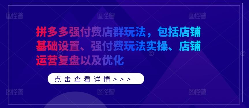 图片[1]-拼多多强付费店群玩法，包括店铺基础设置、强付费玩法实操、店铺运营复盘以及优化-天天学吧