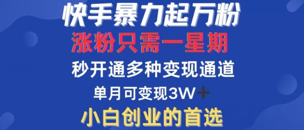 图片[1]-快手暴力起万粉，涨粉只需一星期，多种变现模式，直接秒开万合，单月变现过W【揭秘】-天天学吧