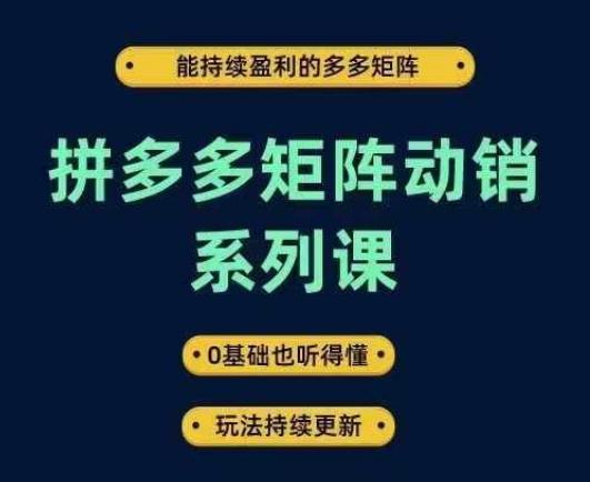 图片[1]-拼多多矩阵动销系列课，能持续盈利的多多矩阵，0基础也听得懂，玩法持续更新-天天学吧