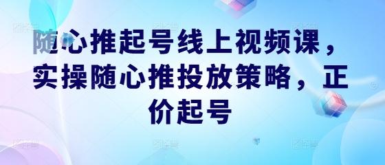 图片[1]-随心推起号线上视频课，实操随心推投放策略，正价起号-天天学吧