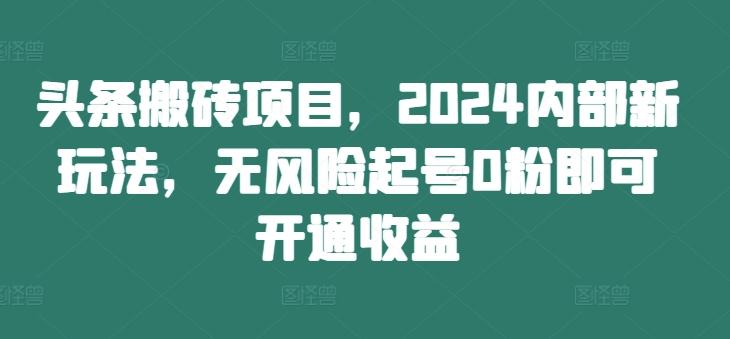 图片[1]-头条搬砖项目，2024内部新玩法，无风险起号0粉即可开通收益-天天学吧