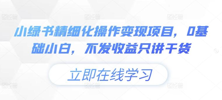 图片[1]-小绿书精细化操作变现项目，0基础小白，不发收益只讲干货-天天学吧