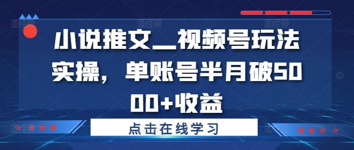 图片[1]-小说推文—视频号玩法实操，单账号半月破5000+收益-天天学吧