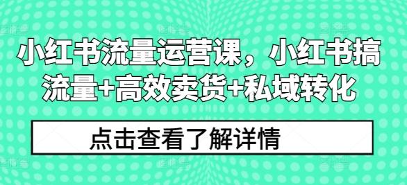 图片[1]-小红书流量运营课，小红书搞流量+高效卖货+私域转化-天天学吧