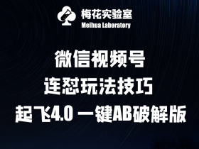 梅花实验窒微信视频号连怼玩法技巧起飞4.0一键AB破解版【揭秘】-天天学吧