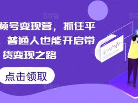 微信视频号变现营，抓住平台优势，普通人也能开启带货变现之路-天天学吧